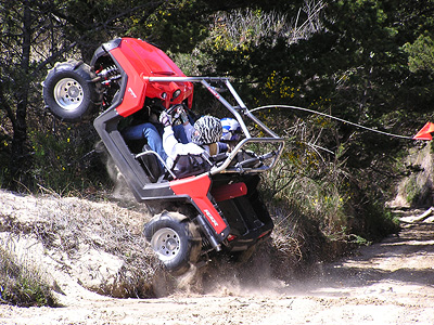 RZR 800 Roller Cage
